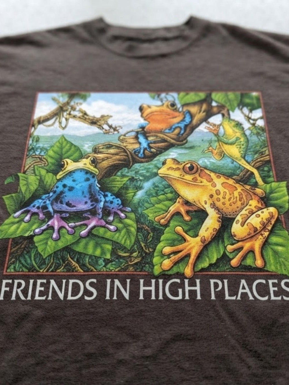 Poison Dart Frog Friends in High Places Graphic Gildan T-Shirt Brown - Picture 2 of 2